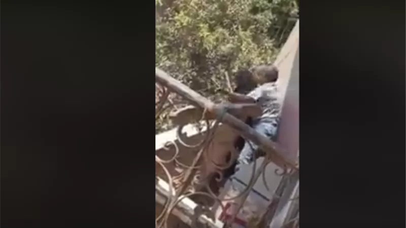 بالفيديو.. 