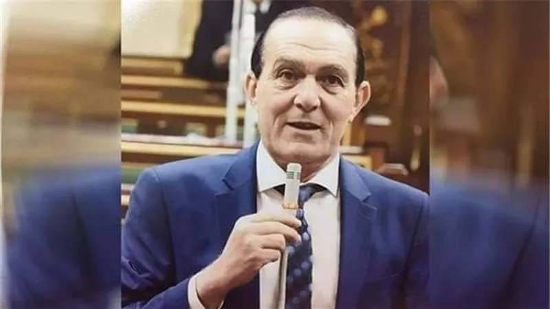 برلماني: المشروعات القومية تفتح الأبواب أمام الاستثمار المحلي والأجنبي