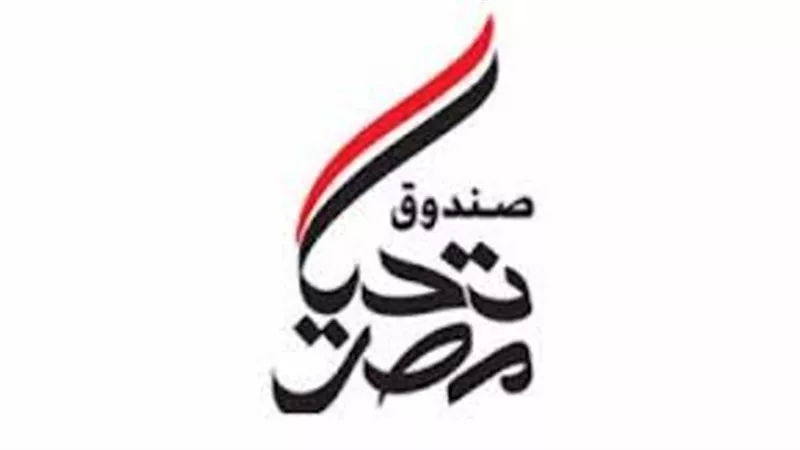 صندوق تحيا مصر يرصد 200 مليون جنيه للمشاركة في بناء مدن 