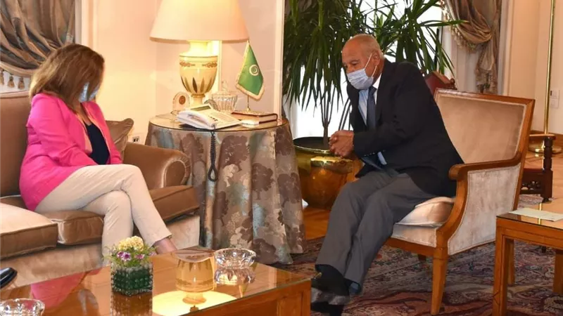 أبو الغيط يبحث مع رئيسة بعثة الامم المتحدة سبل دفع جهود تسوية الأزمة الليبية