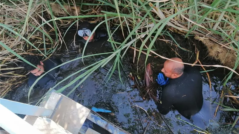 فريق من الغطاسين بمياه قنا ينجح فى إزالة الحشائش أمام مأخذ مرشح العرب والنجاجرة