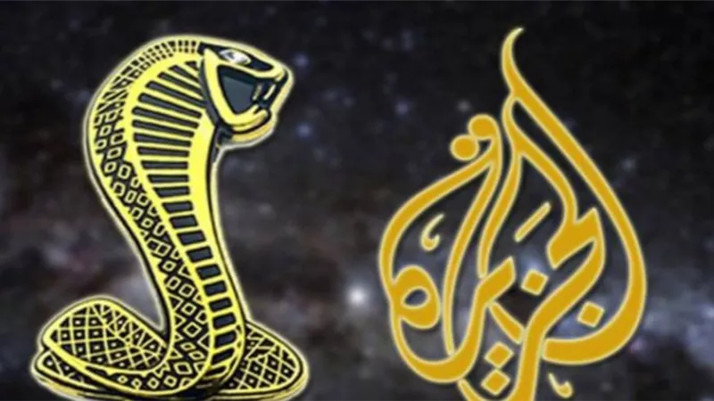 الصيدلانية ياسمين رشاد كشفت كذب قناة الجزيرة..واشادت بمهنية الشرطة