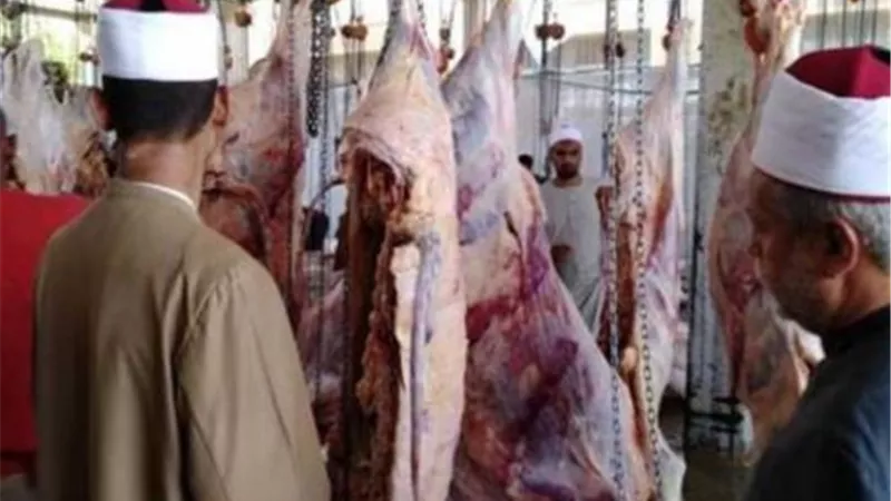 للاسبوع الرابع على التوالى الاوقاف توزع لحوم الاضاحى اليوم على 6 محافظات