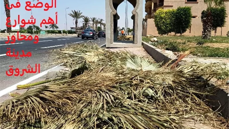 القمامة والحشرات الطائرة تحاصر سكان الشروق بسبب إهمال قيادات الجهاز.. بالصور
