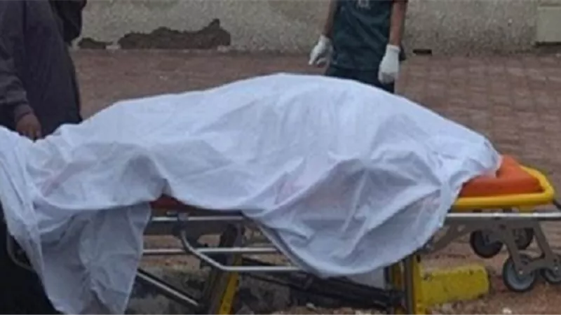 مصرع عامل وإصابة آخر صعقا بالكهرباء بنجع حمادي