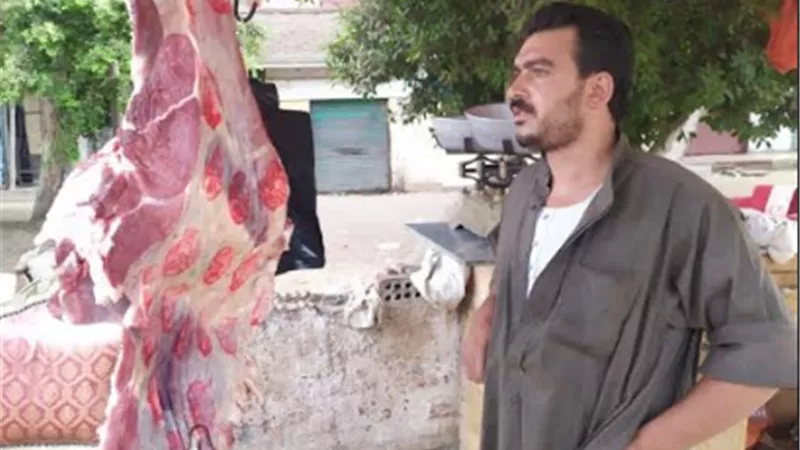 تموين منيا القمح تحرر 20 محضرا