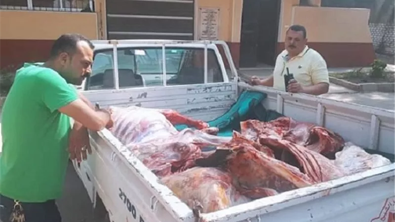 حملة تموينية على المحلات والمجازر ببيلا