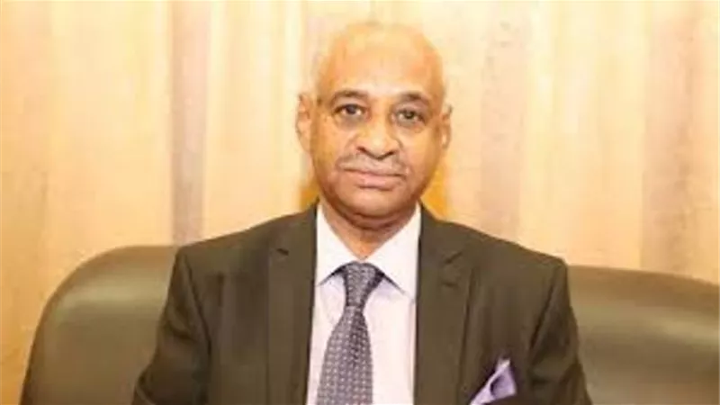 وزير الاعلام السودانى: مغمورون بمحبة المصريين وتضامنهم مع بلادنا