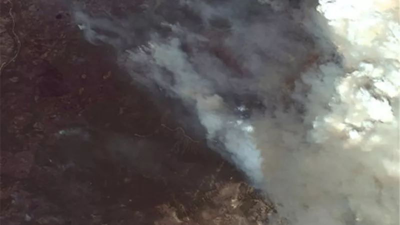 صدق اولا تصدق ..حفل للكشف عن نوع الجنين بشرد الاف الاسر