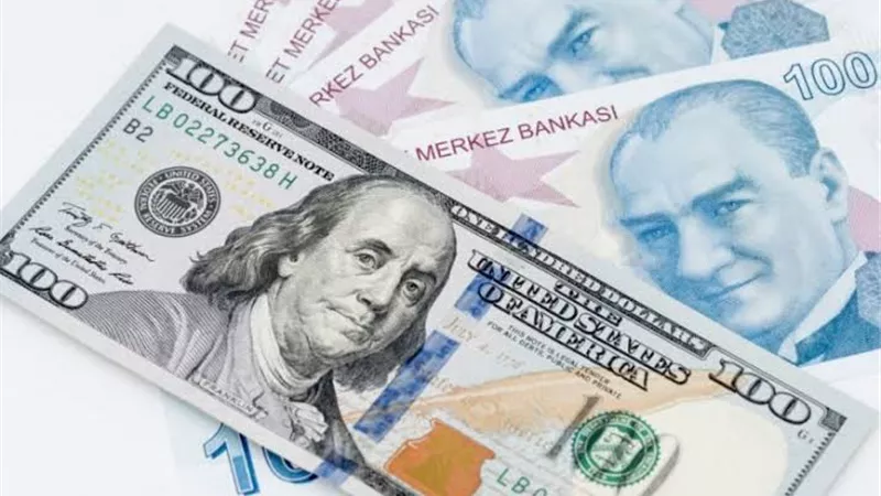 انخفاض قياسي لـ الليرة التركية أمام الدولار