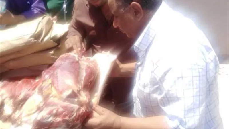 محافظ أسيوط: ضبط لحوم وأسماك ومجمدات غير صالحة خلال حملة تموينية