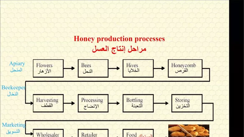 طرق الكشف عن غش العسل.. وظاهرة التبلور والتغذية السكرية يستعرضها أستاذ النحل بكلية الزراعة جامعة الفيوم.. صــــور