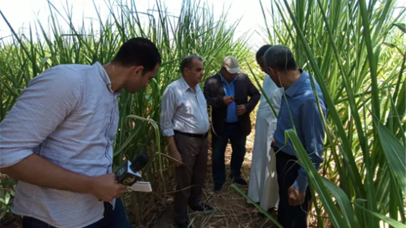 مسئولو الزراعة في قنا والواحات البحرية لتوعية المزارعين بأهمية التحول لنظم الري الحديثة