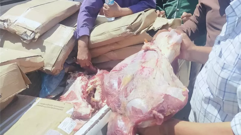 حملة مشتركة بين صحة أسيوط والتموين والطب البيطري تسفر عن ضبط ٣٢٠٠ كيلو أطعمة فاسدة