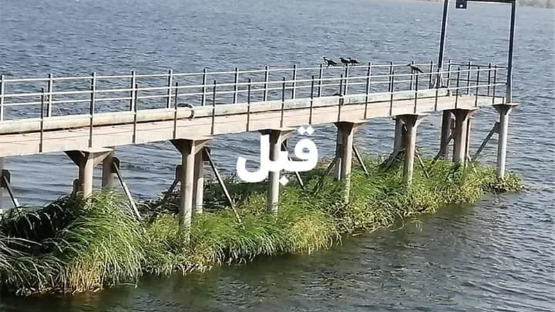 تطهير مأخذ مرشح مياه 