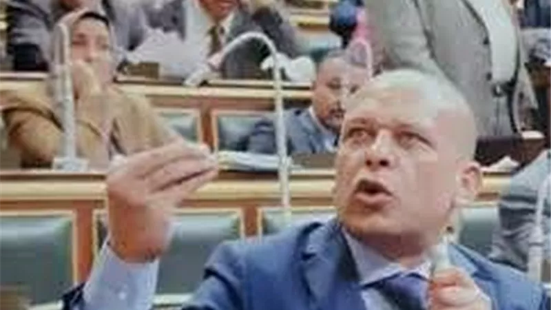 برلمانى يشيد بدعم مصر للسودان لمواجهة مخاطر السيول والفياضانات