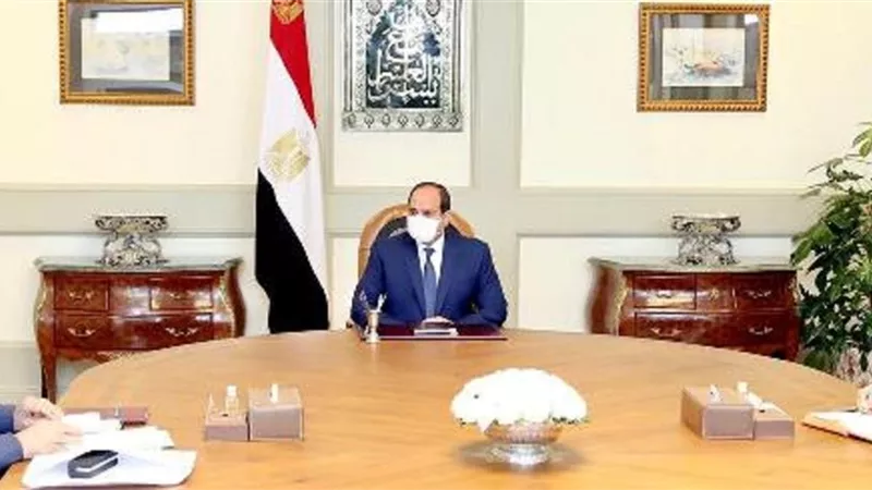 الرئيس يلتقي عوض تاج الدين لمتابعة جهود الدولة لمواجهة أية موجة ثانية محتملة لكورونا
