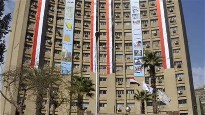لجان تفتيش من وزارة الشباب والمركزى للمحاسبات على جميع الهيئات الرياضية