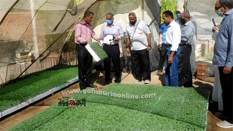 بالطاقة الشمسية والصوب الزراعية.. شباب عزب القصر نموذج للجدية بالوادى الجديد..صور