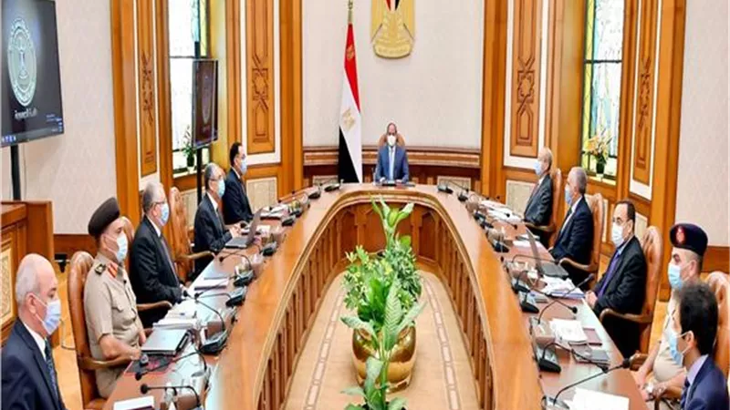 السيسي يوجه بزيادة الرقعة الزراعية المنتجة وبناء مجتمعات عمرانية حديثة في سيناء وجنوب الوادي