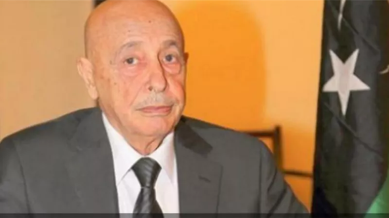 وفد مصري يلتقى عقيلة صالح ويؤكد أهمية العودة للمسار السياسي وتثبيت وقف اطلاق النار