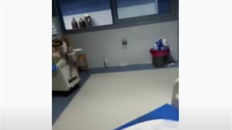 التعليم العالي تكشف تفاصيل وفاة سيدة داخل المستشفى الجامعي بالمنيا.. فيديو