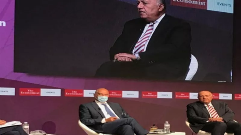 شكري امام 