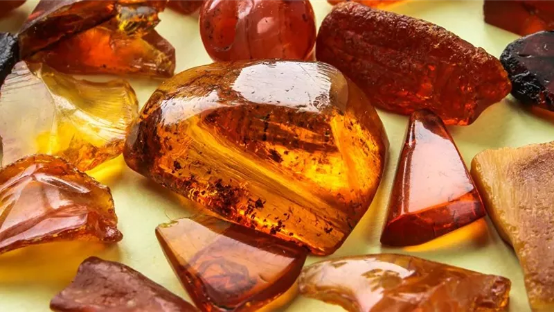 العثور على حيوانات منوية عمرها أكثر من 100 مليون سنة