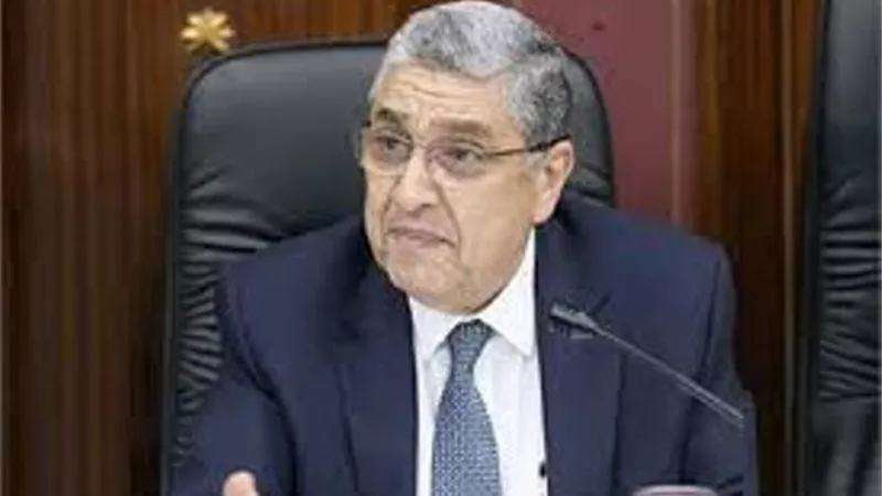 صرف 3 شهور للعاملين بالكهرباء وشركة للتحصيل واخرى للخدمات الطبية
