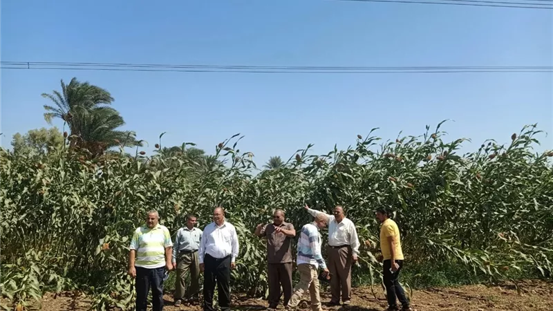 محافظ أسيوط : متابعات ومعاينات على الطبيعة بقرى ومراكز المحافظة للجنة تسعير الاراضى ضمن منظومة التقنين
