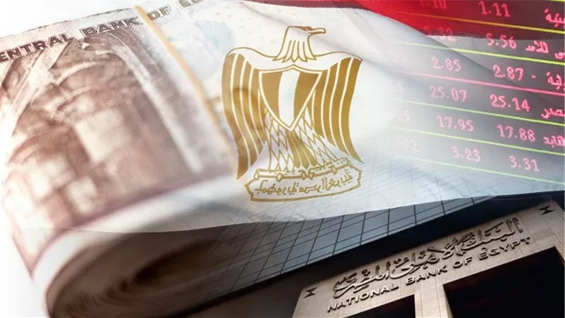 أستاذ قانون دولي: اقتصاد مصر قوي وراسخ وينمو بشكل حقيقي