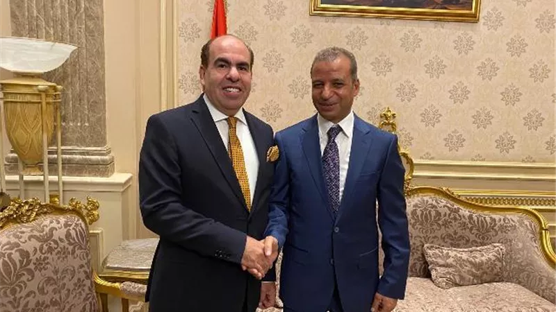 الهضيبي عن استقبال مجلس الشيوخ للأعضاء الجدد: خطوة مهمة على طريق الديمقراطية