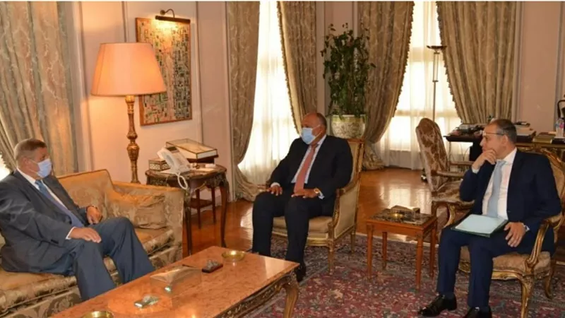 الوزير شكري والمُنسق الأممي الخاص في لبنان يؤكدان ضرورة الاستمرار في دعم لبنان خلال المرحلة الحالية