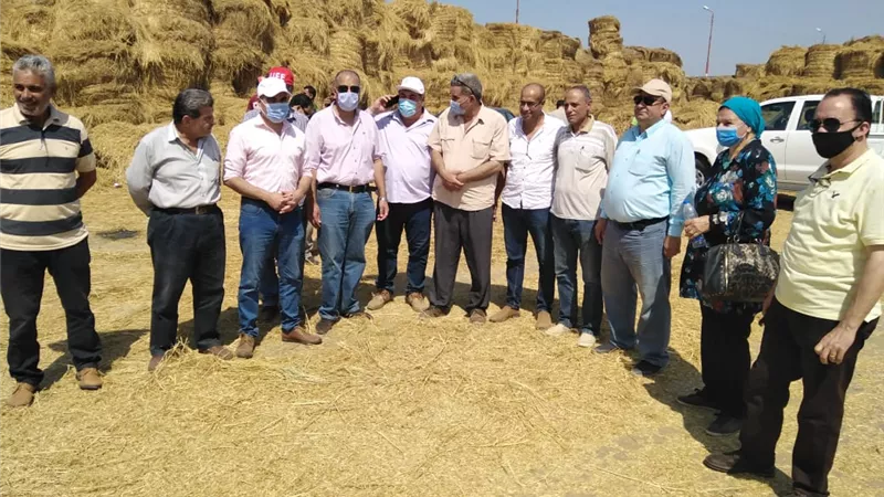 الزراعة والبيئة: متابعة اعمال منظومة جمع وتدوير قش الارز بمحافظة كفر الشيخ