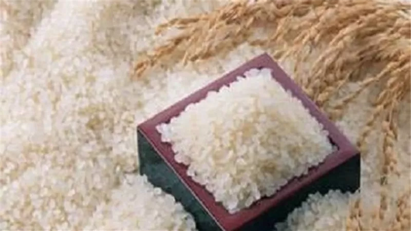 بسبب موسم الحصاد.. تراجع أسعار الأرز بنحو 1000 جنيه فى الطن