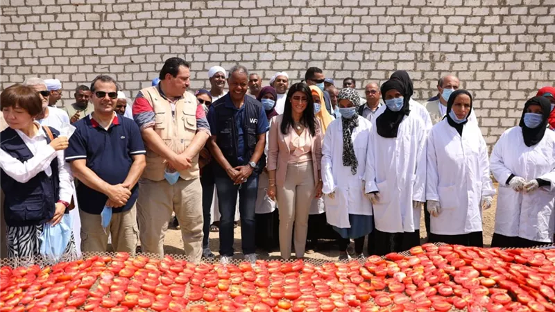 وزيرة التعاون الدولي: مشروع تجفيف الطماطم يعزز التمكين الاقتصادي للسيدات في الصعيد