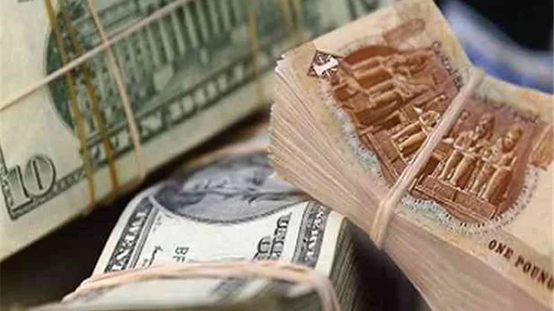 تراجع سعر الدولار أمام الجنيه فى 5 بنوك بختام التعاملات