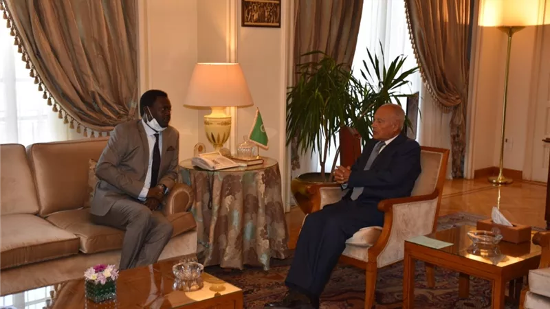 أبو الغيط يبحث تنفيذ اتفاق جوبا للسلام مع رئيس حركة تحرير السودان