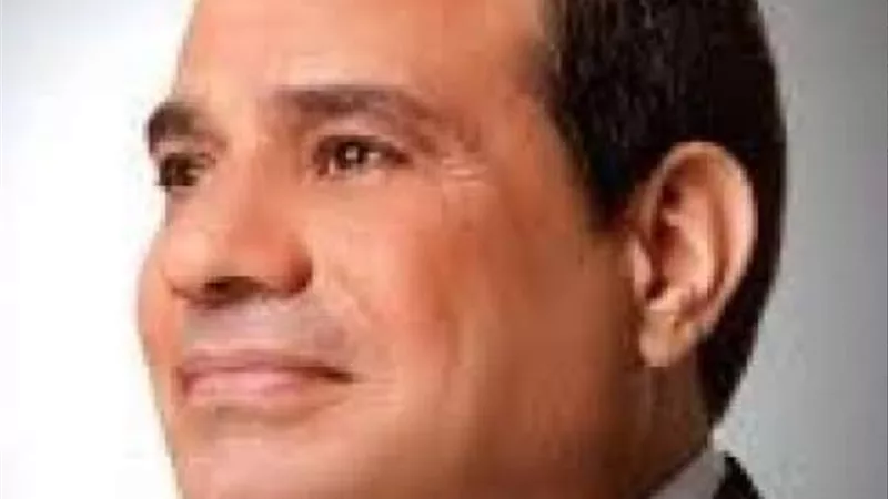 عربية البرلمان تشيد برؤى السيسى وبن زايد حول القضايا الإقليمية والدولية