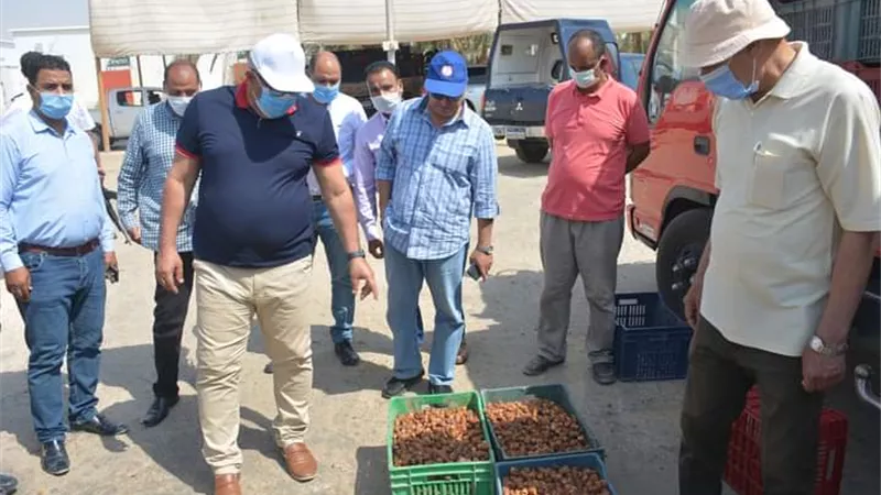 محافظ الوادي الجديد يخفض رسوم باكيات سوق التمور ل 300 جنيه