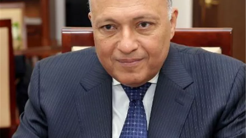 سامح شكرى يؤكد على أهمية التوصل لحل شامل يلبي مطالب الشعب الفلسطيني