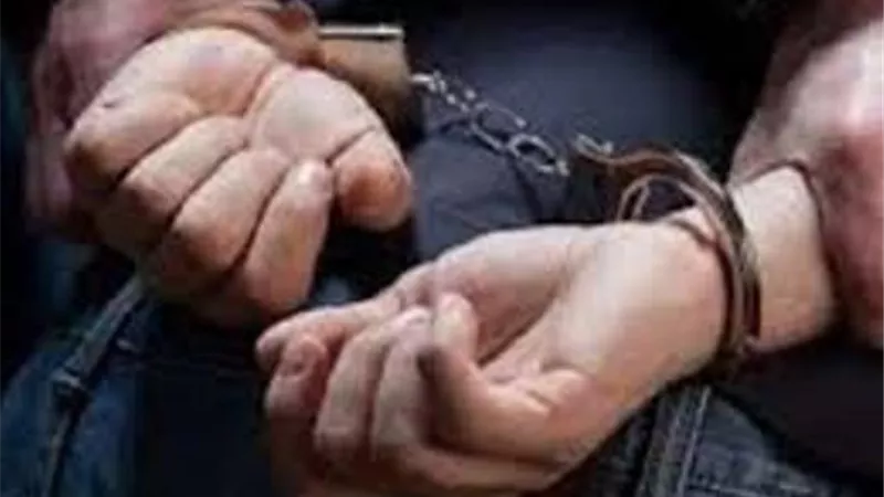 ضبط وترحيل ثلاثة متهمين بلبنان في واقعة التعدي على فتاة بـ