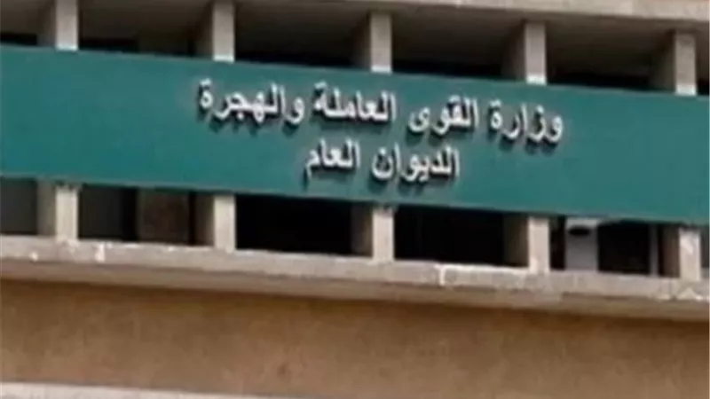 القوي العاملة : تعيين 690 شاباً .. وإستخراج 877 رخصة مزاولة حرفة على 90 مهنة بالغربية