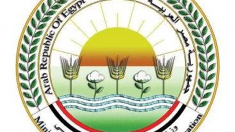 حقيقة ظهور سلالة جديدة من أنفلونزا الطيور في مصر