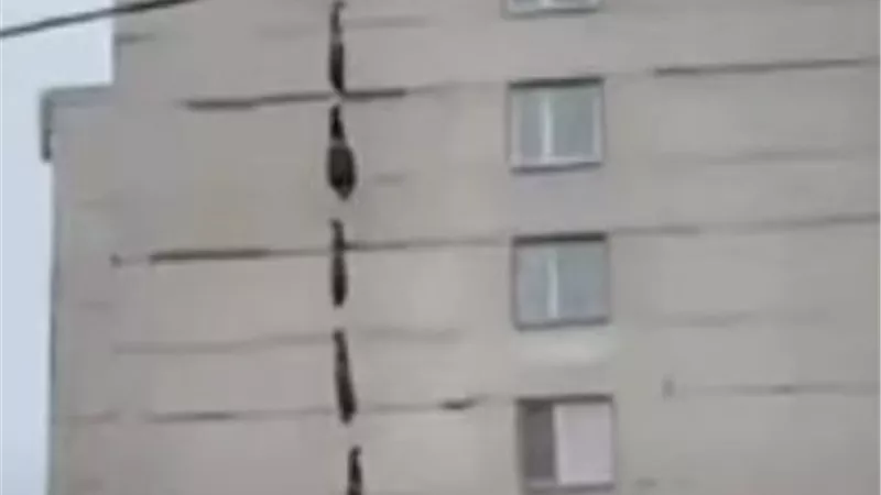 الكشف عن حقيقة فيديو تهريب الجثث