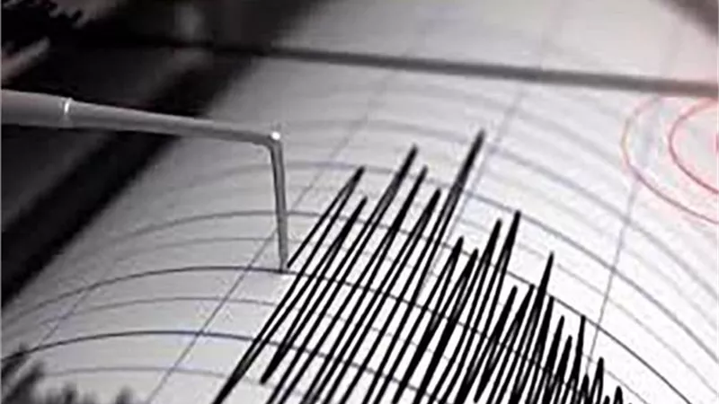 هزة أرضية بقوة 3.9 درجة في منطقة البحر الأحمر
