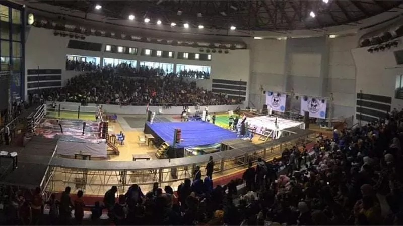 800 لاعب ولاعب في بطولة الجمهورية للكيك بوكسينج