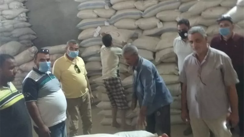 إعدام ٥٢ طن رسالة كمون غير صالحة ببلبيس