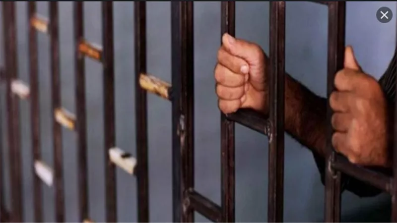 المؤبد لمزارع ونجله لشروعهما فى قتل جارهما