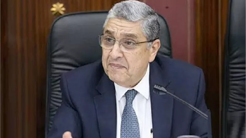 شاكر: تعاون مشترك لاستخدام الطاقة المتجددة لتحلية المياة وتجديد الشبكات
